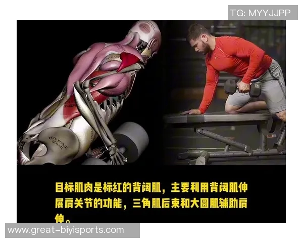 单臂哑铃划船锻炼的主要肌肉群及其健身效果分析